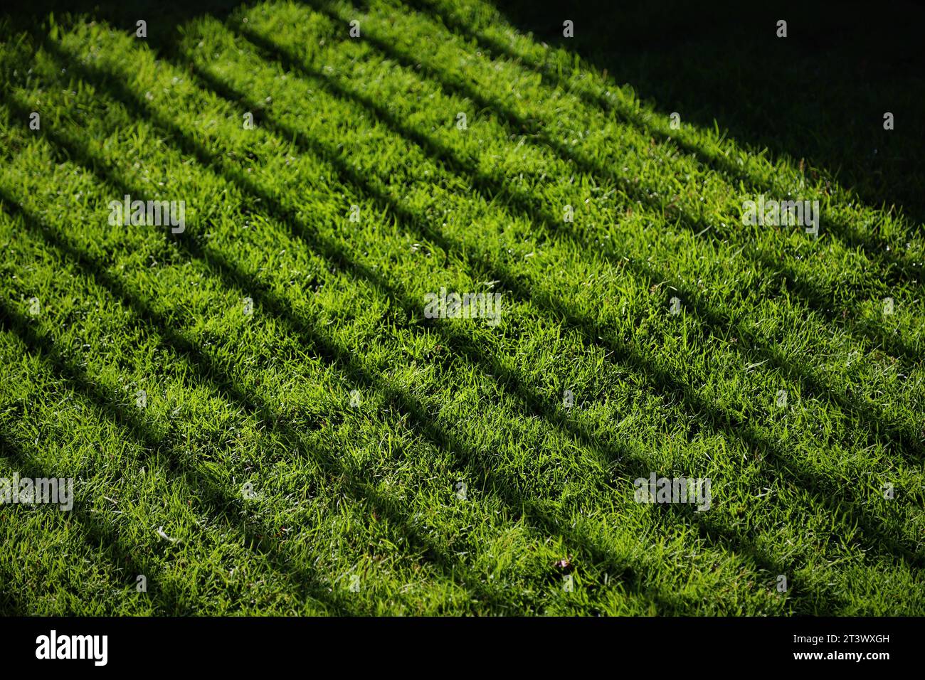 10th May 2021, Sharjah, UAE. Sheesh public park from Sharjah. View early morning Stock Photo