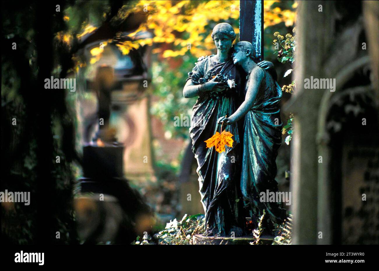 stellenangebote friedhof münchen