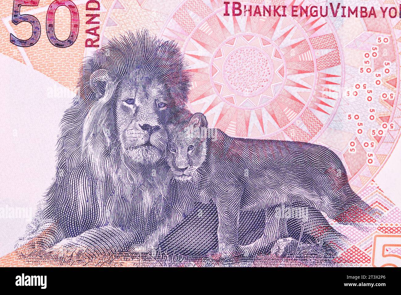 Lion with baby from South African money - rand Stock Photo