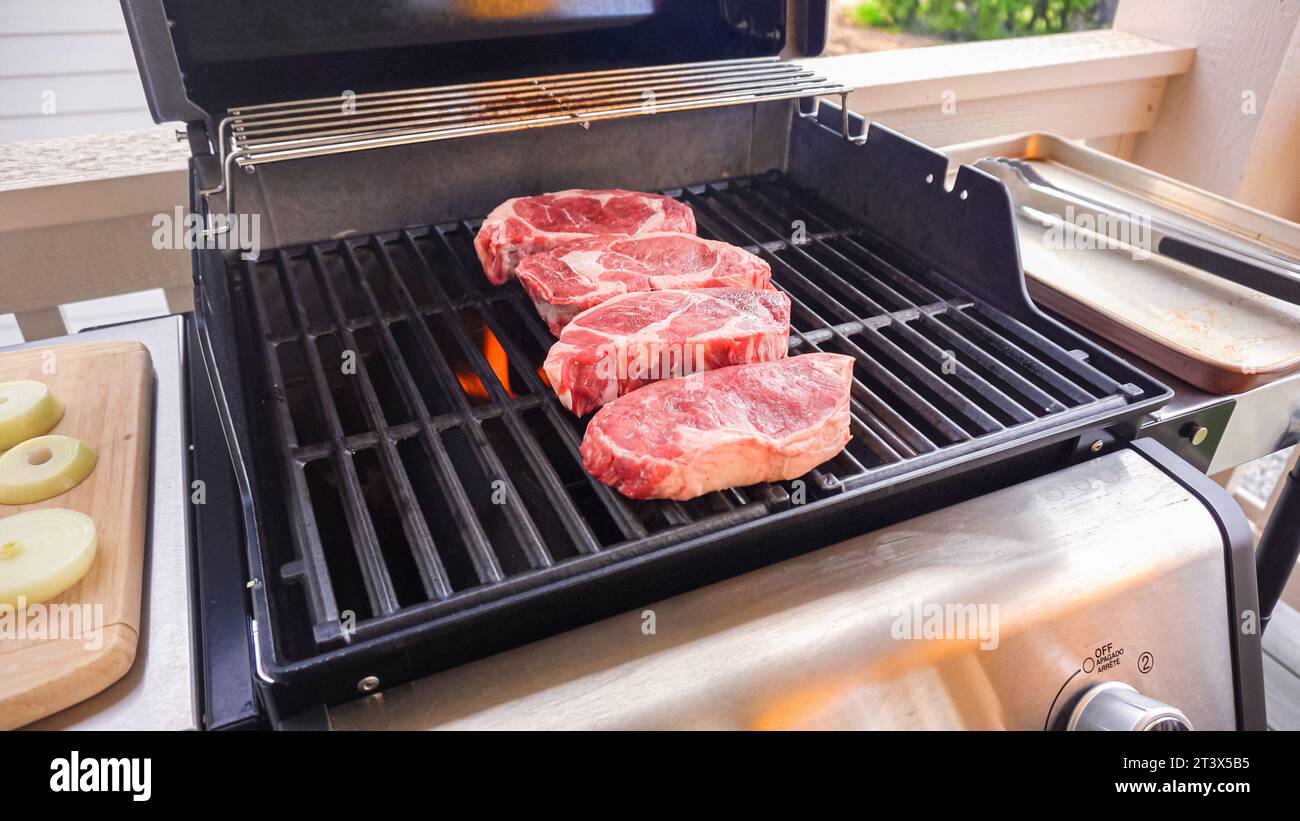 Two burner gas grill hi-res stock photography and images - Alamy