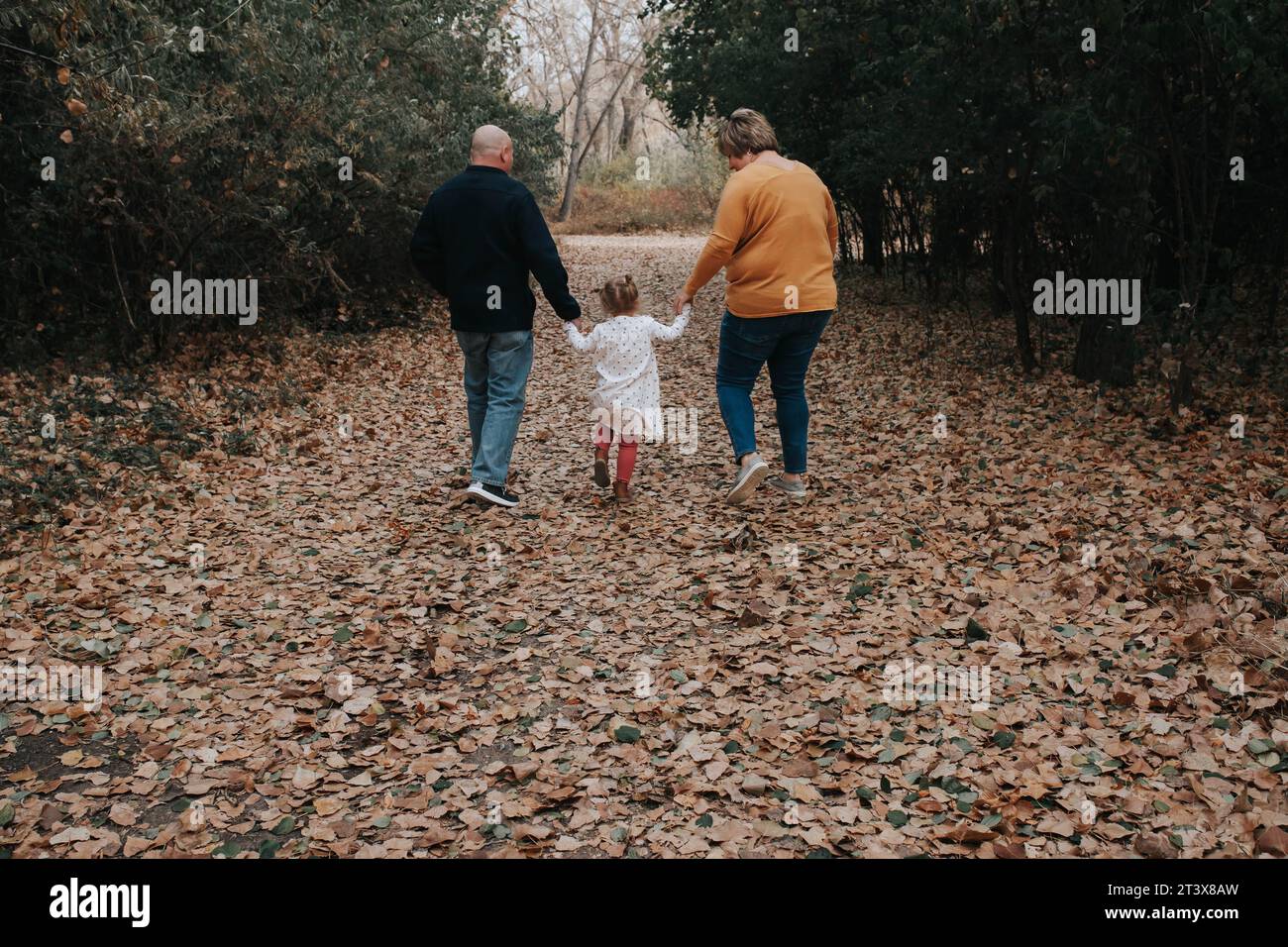 4-year-old girl, grandma, and grandpa walk on a fall day Stock Photo