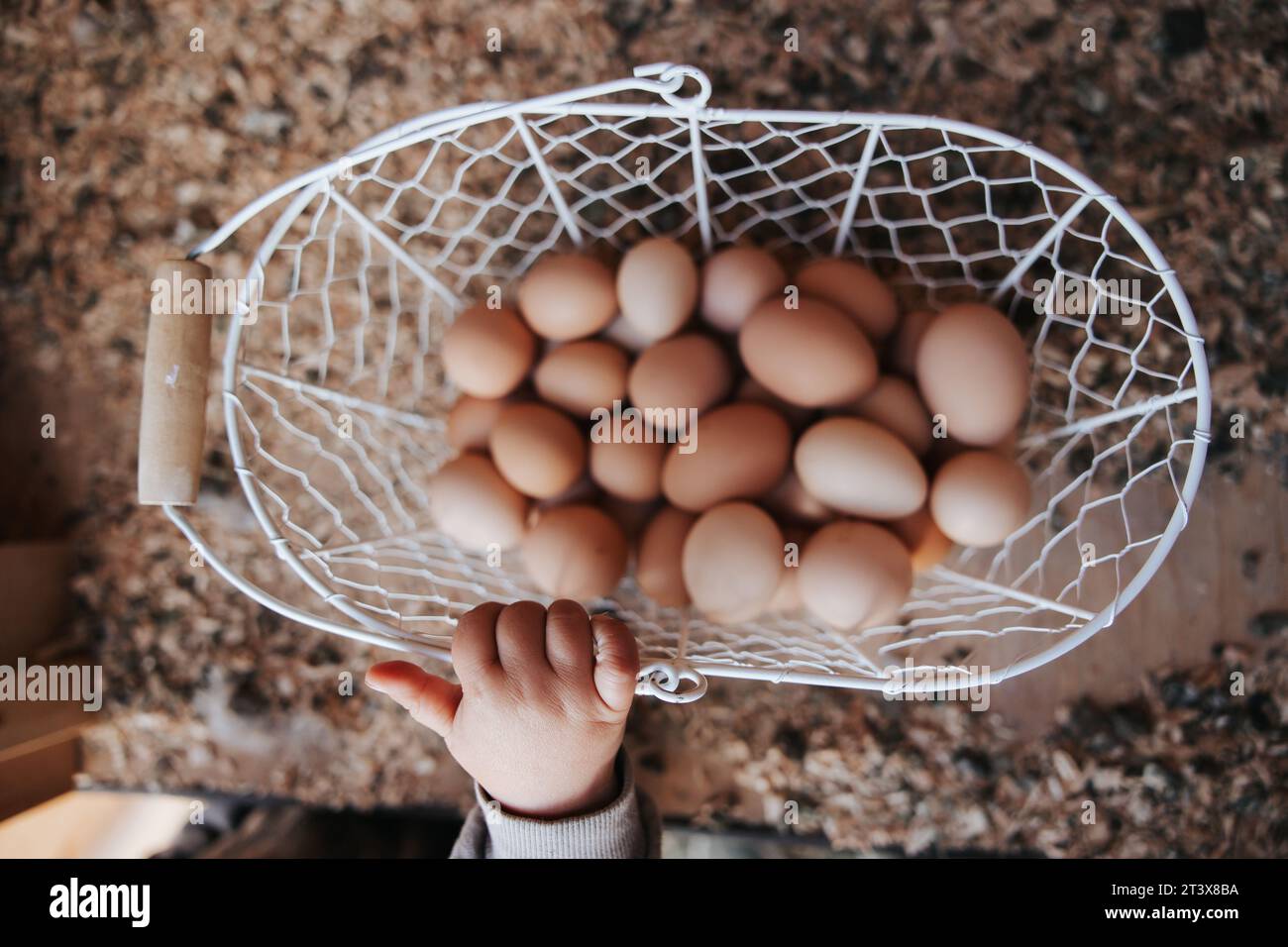 2-year-old boy reaching for farm-fresh eggs Stock Photo