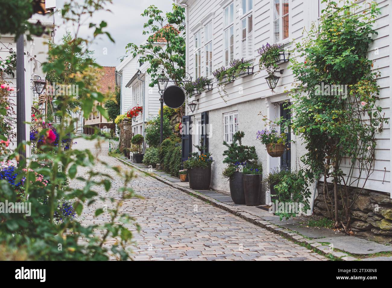 street with white houses and lots of plants in old town of Stavanger Stock Photo