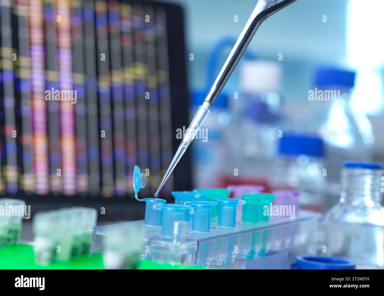 Genetic Research, Scientist pipetting a DNA sample for analysis Stock Photo