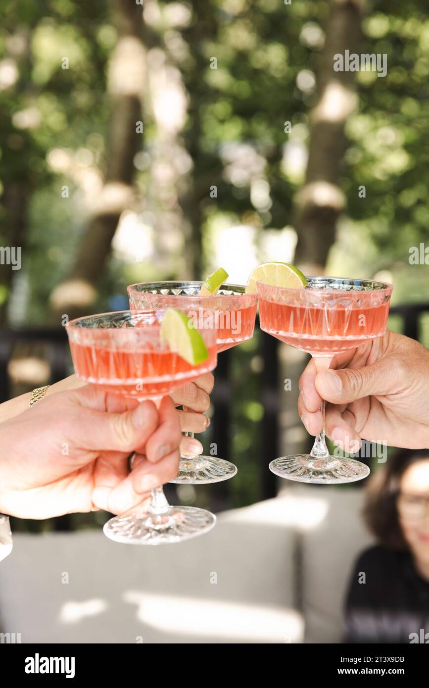 Cropped hands of people toasting drinks at back yard Stock Photo