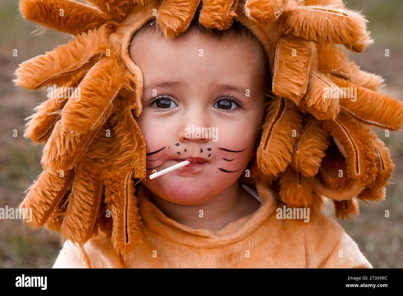 Little Lion Costume With Halloween Candy Stock Photo Alamy cylinder-slider-sirena
