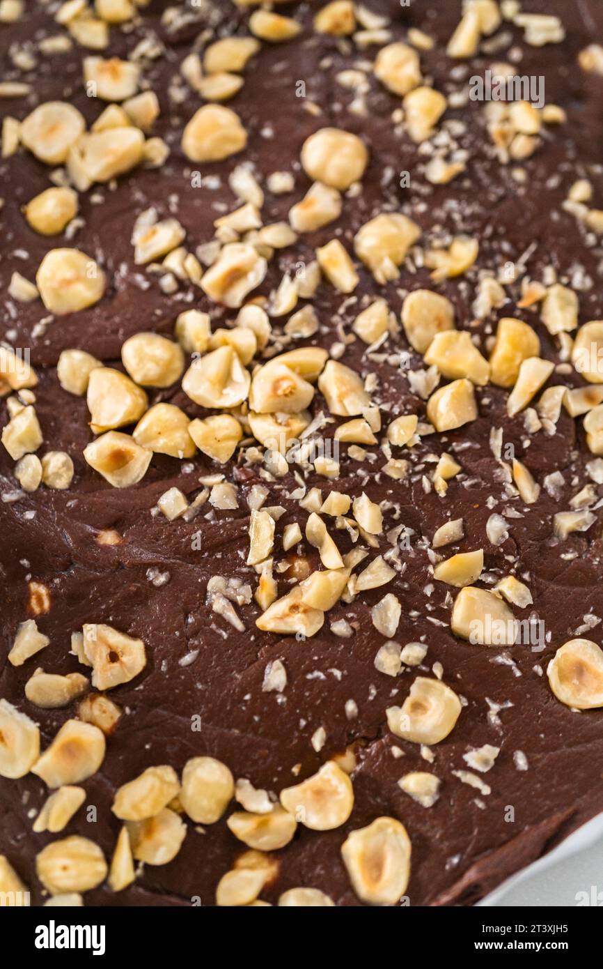 Chocolate hazelnut fudge Stock Photo - Alamy