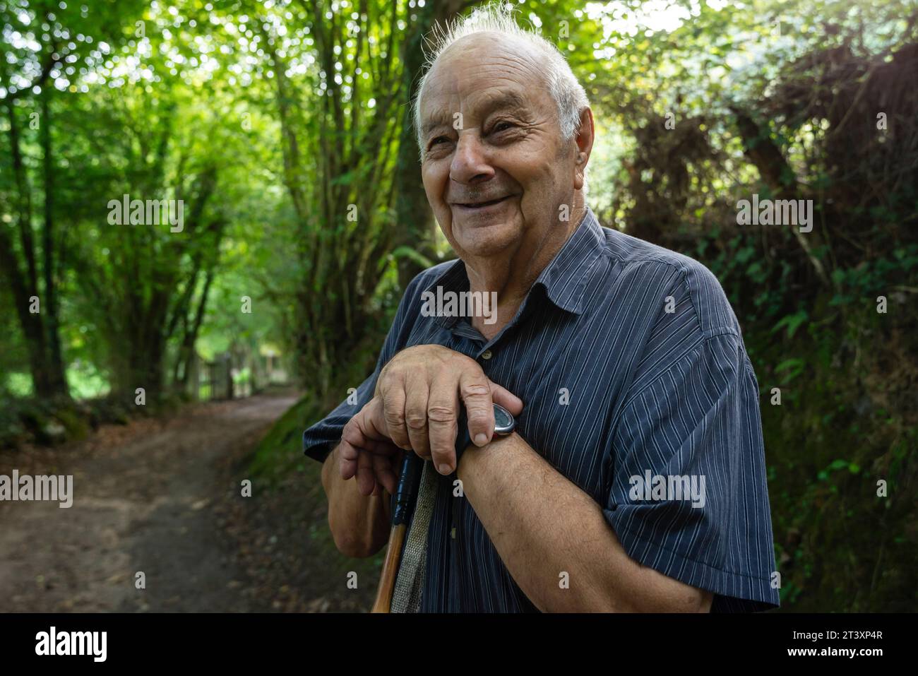 old man enjoying the walk in the forest, Paleolithic Park of the Cueva del Valle, Rasines, Cantabria, Spain. Stock Photo