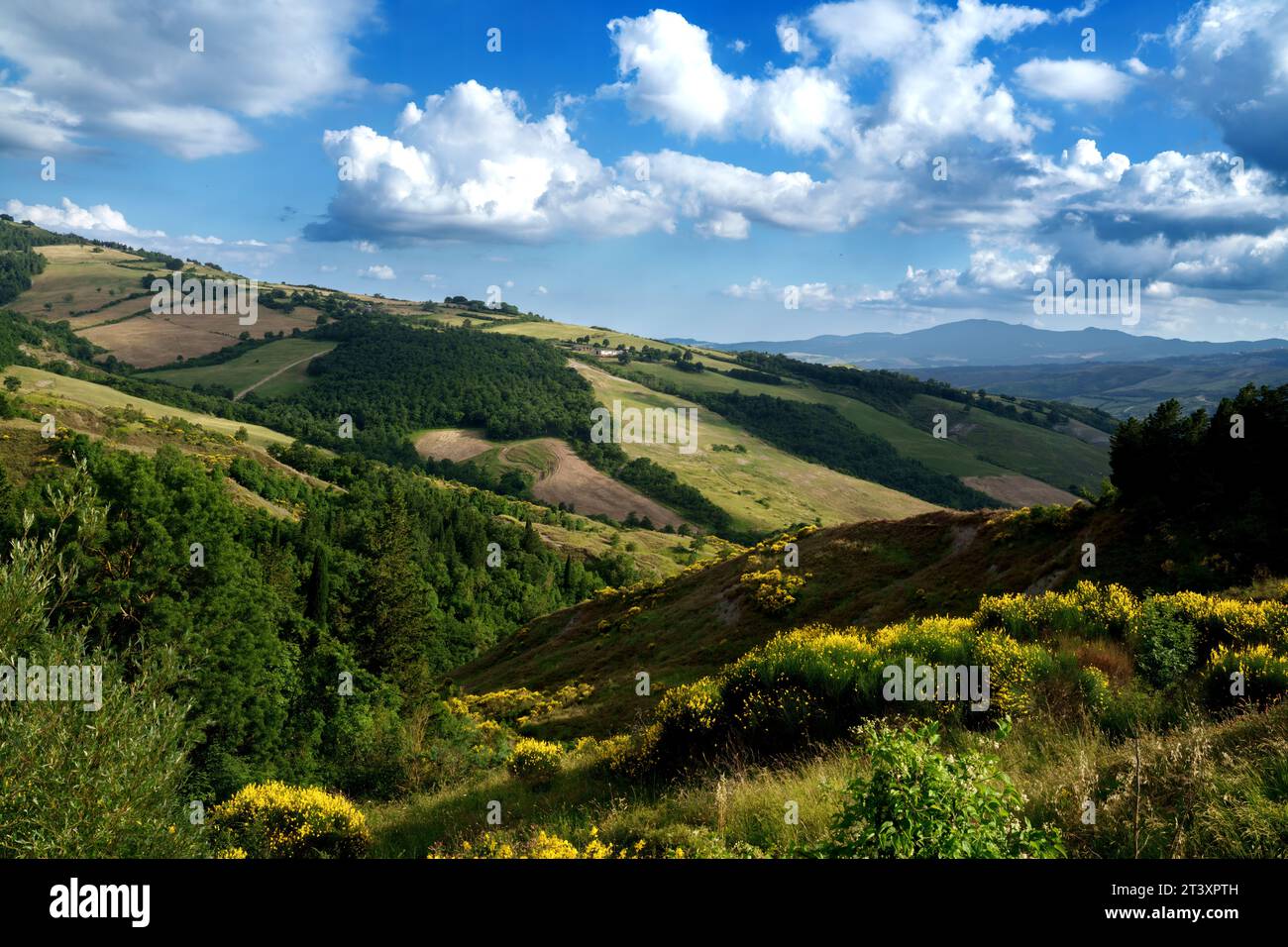Italy Landscae Rural Rural landscape in Tuscany near Radicofani, Siena province, Tuscany ...