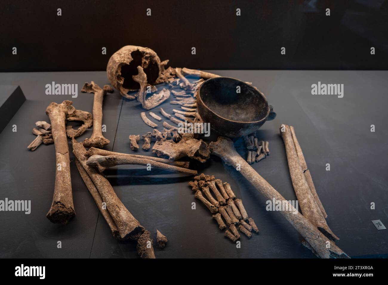 individual burial in a side-flexed position, Los Cascajos necropolis, Museum of Navarra, Pamplona, Navarra,Spain. Stock Photo