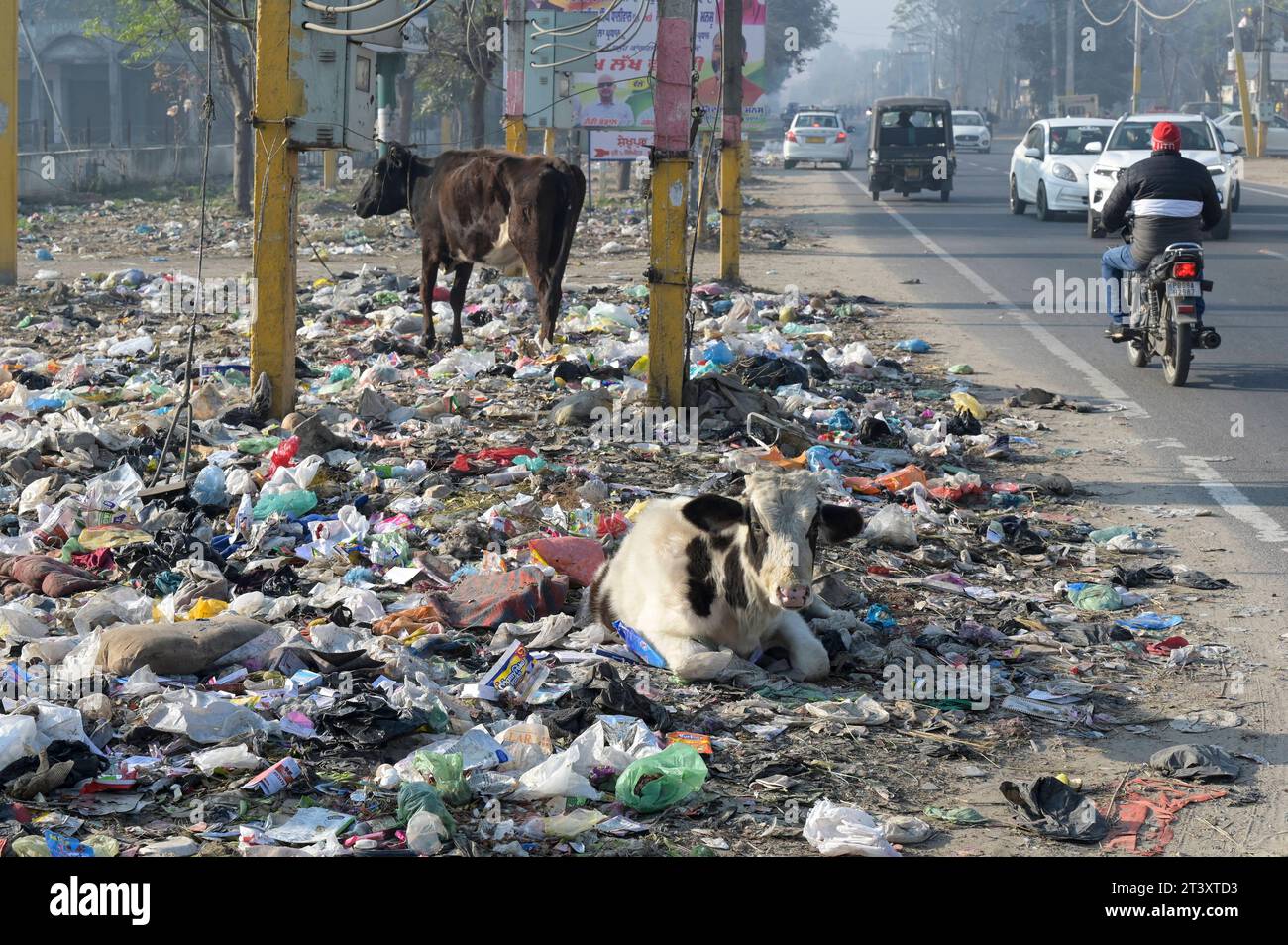 India, waste INDIA, Punjab, Kapurthala, plastic and organic waste along
