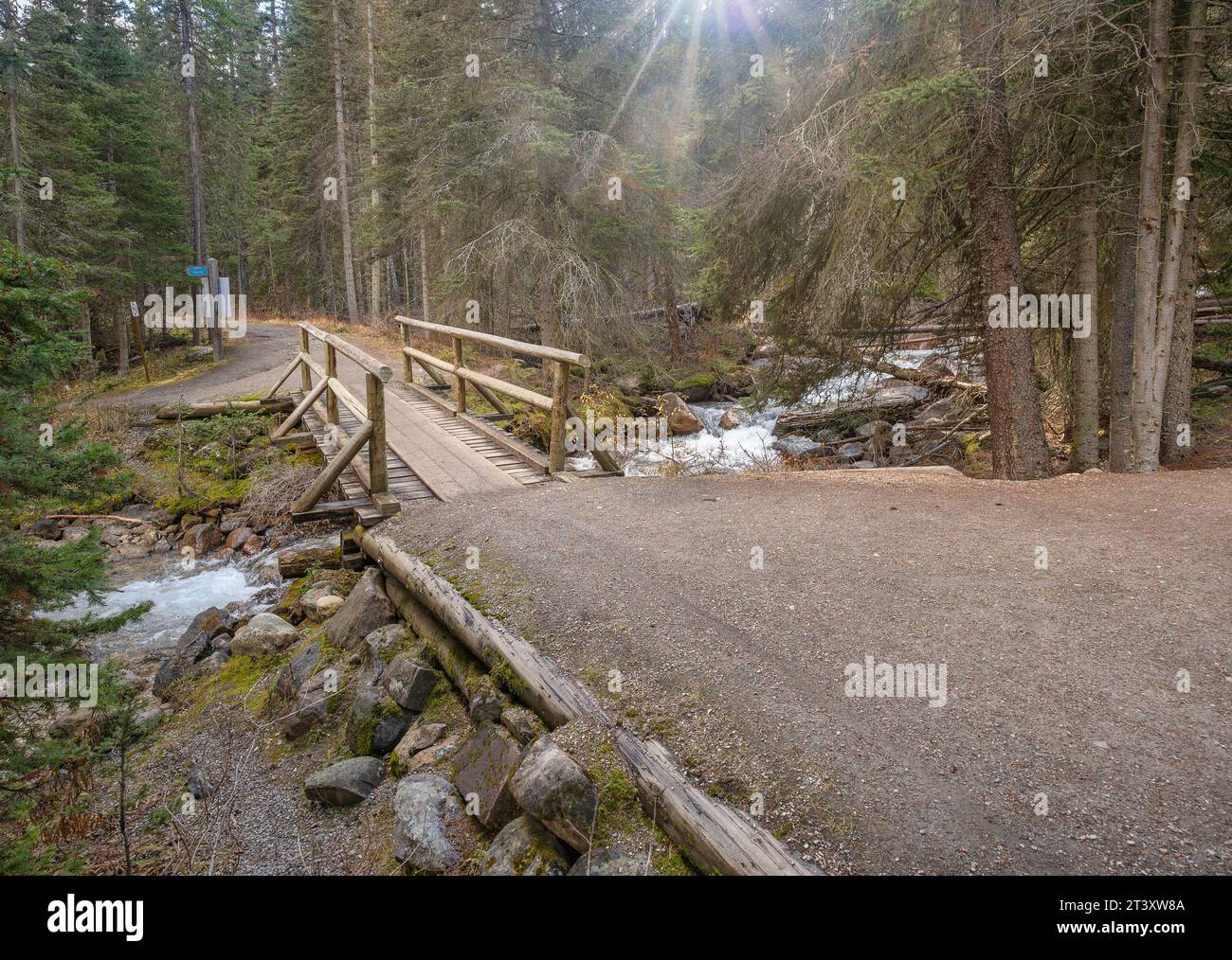 Hiking trail crossing Lake Louise Creek in Banff National Park, Alberta, Canada Stock Photo