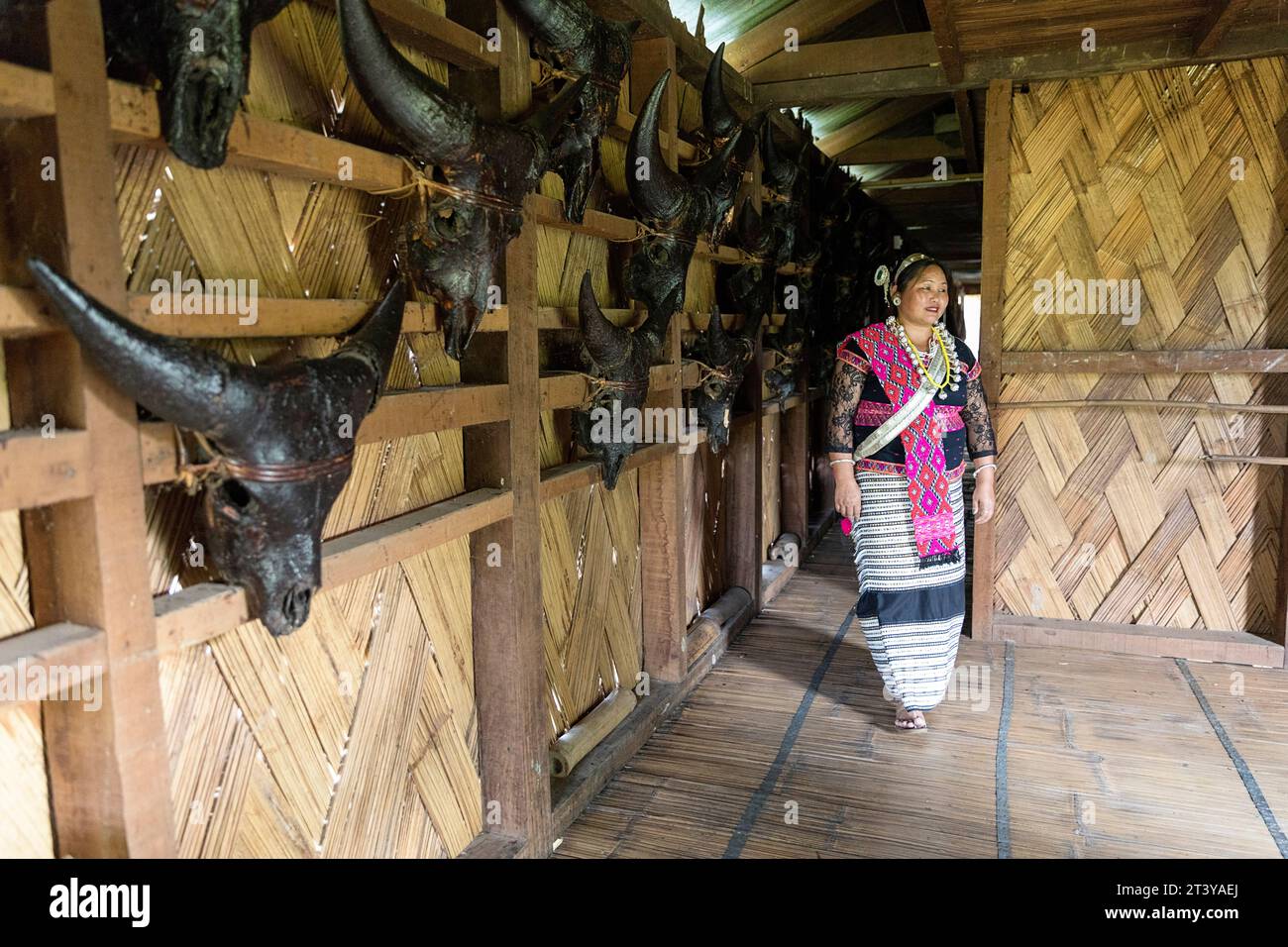 Woman from Adi tribe in traditional clothes standing by wall decorated with bull skulls in traditional wooden house, Assam, Northeast India Stock Photo