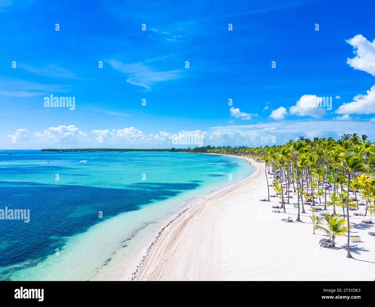 Aerial view of beautiful Bavaro beach with white sand and palm trees ...