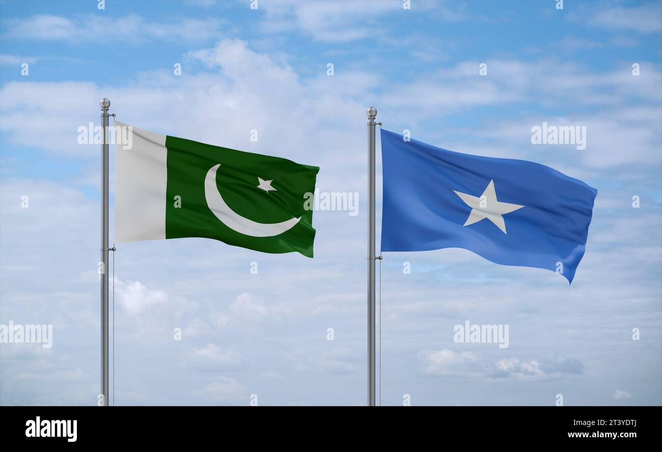 Pakistani Somalia Potential Next Steps