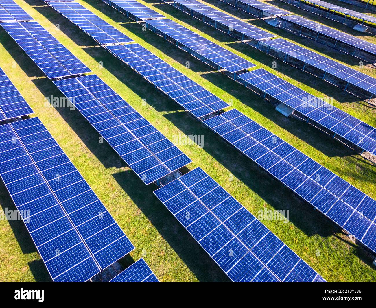 The rows of solar power plants at sunset in the green field. Farm