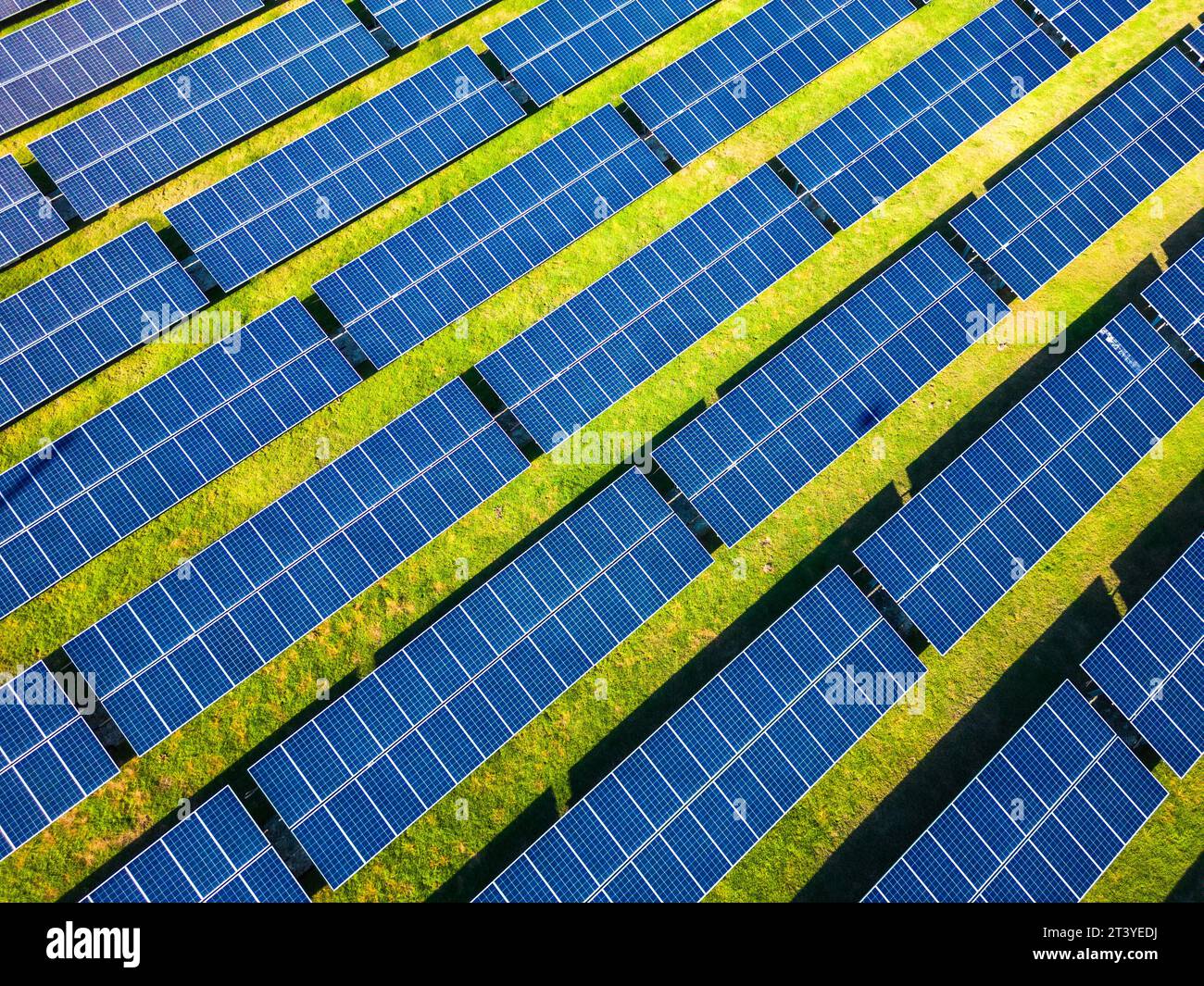 Aerial view of many solar power panels in the green field. Farm producing clean electrical