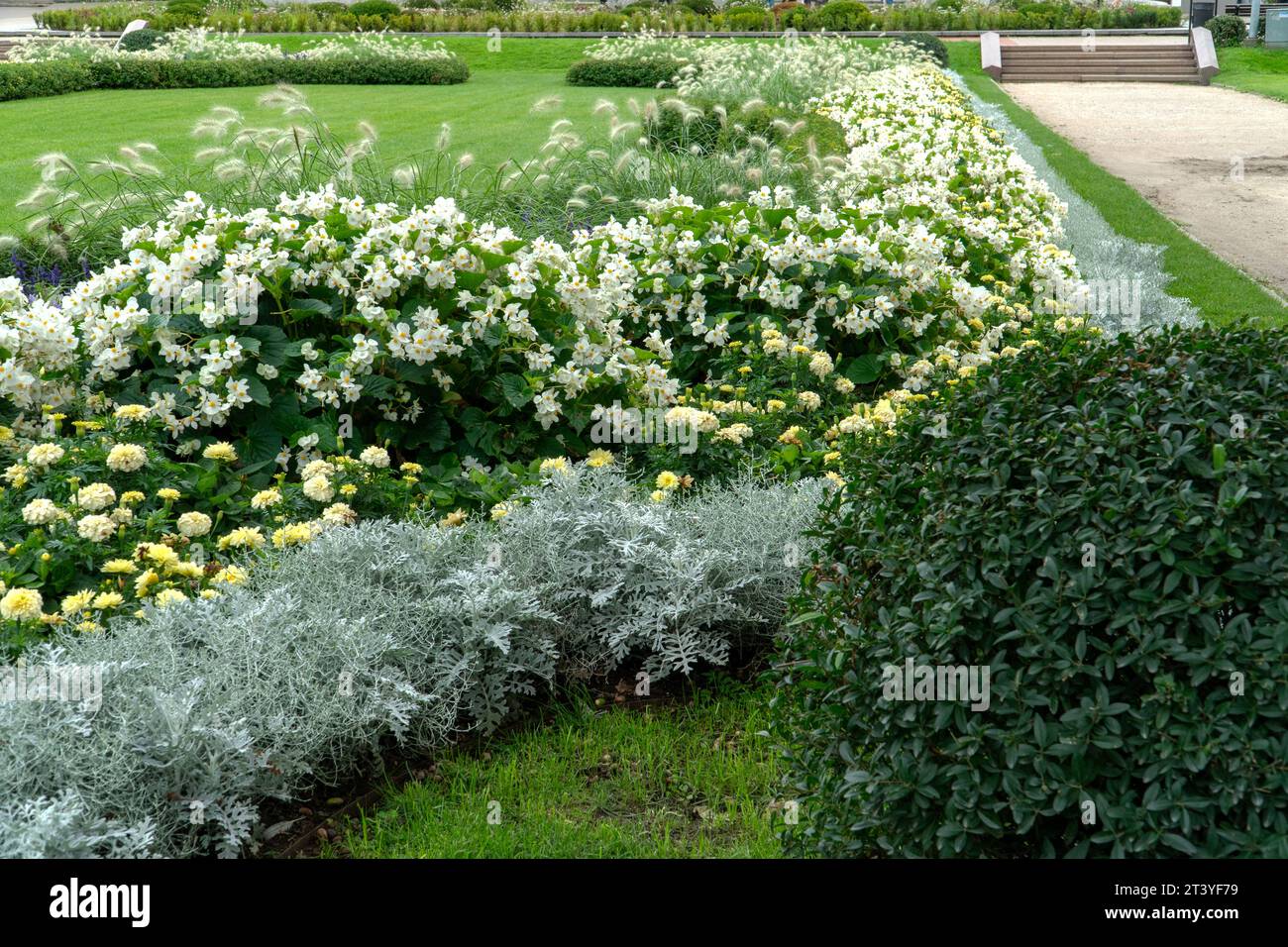 Landscape design with flowering plants in an urban environment. A decorative planting in the greenery of town. Flowers composition variation in flower Stock Photo