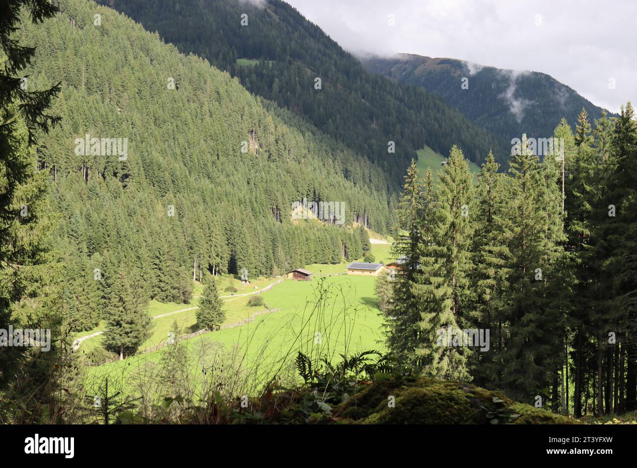 Lush green meadows hi-res stock photography and images - Alamy
