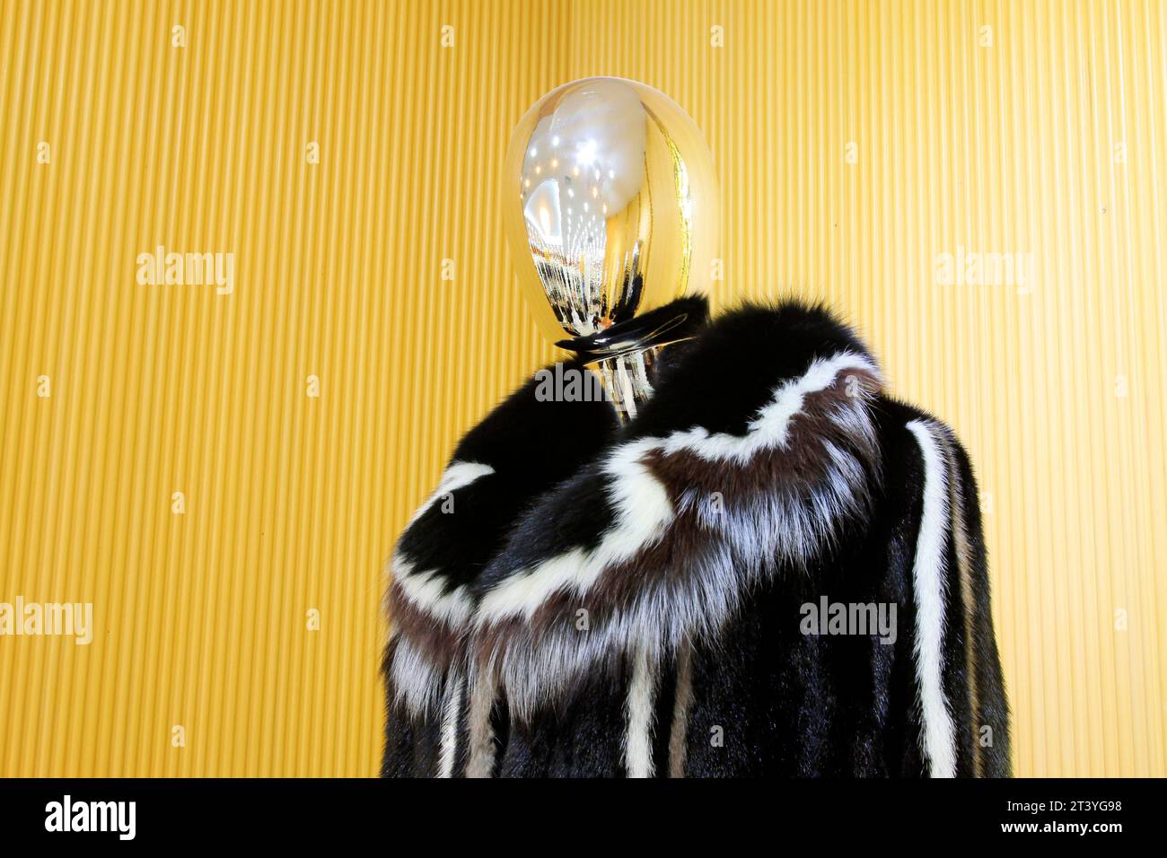 alloy models wearing black fur clothing, closeup of photo Stock Photo ...