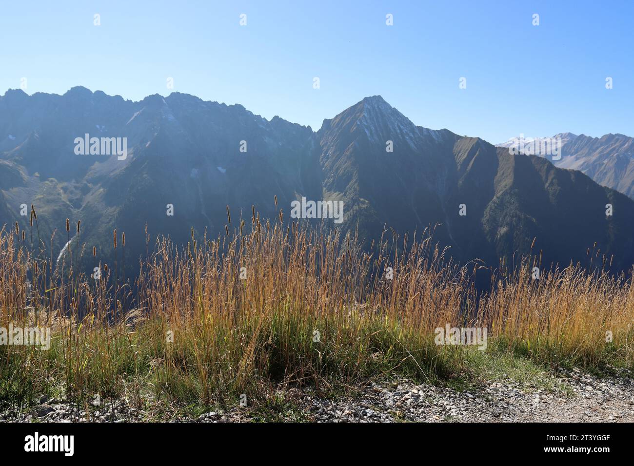 View of beautiful golden yellow grasses in front of dark mountain massifs Stock Photo