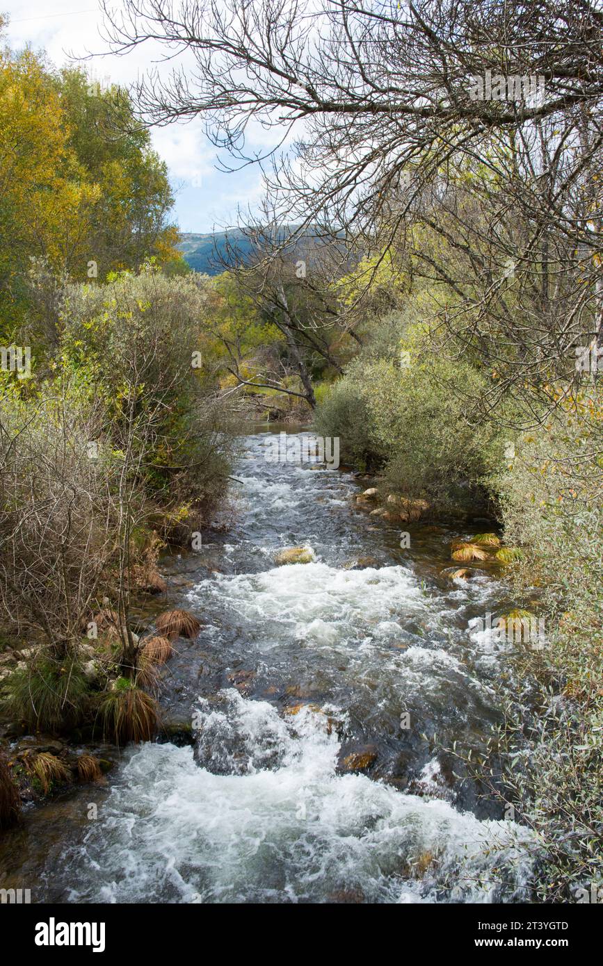 Artiñuelo stream. Rascafria, Madrid province, Spain Stock Photo - Alamy