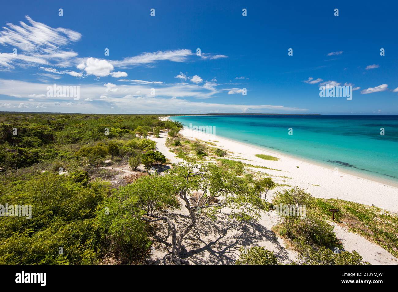 Top view of a wild deserted beach with white sand and clear water. Barahona Bahia de las Aguilas. Best beaches of the world Stock Photo