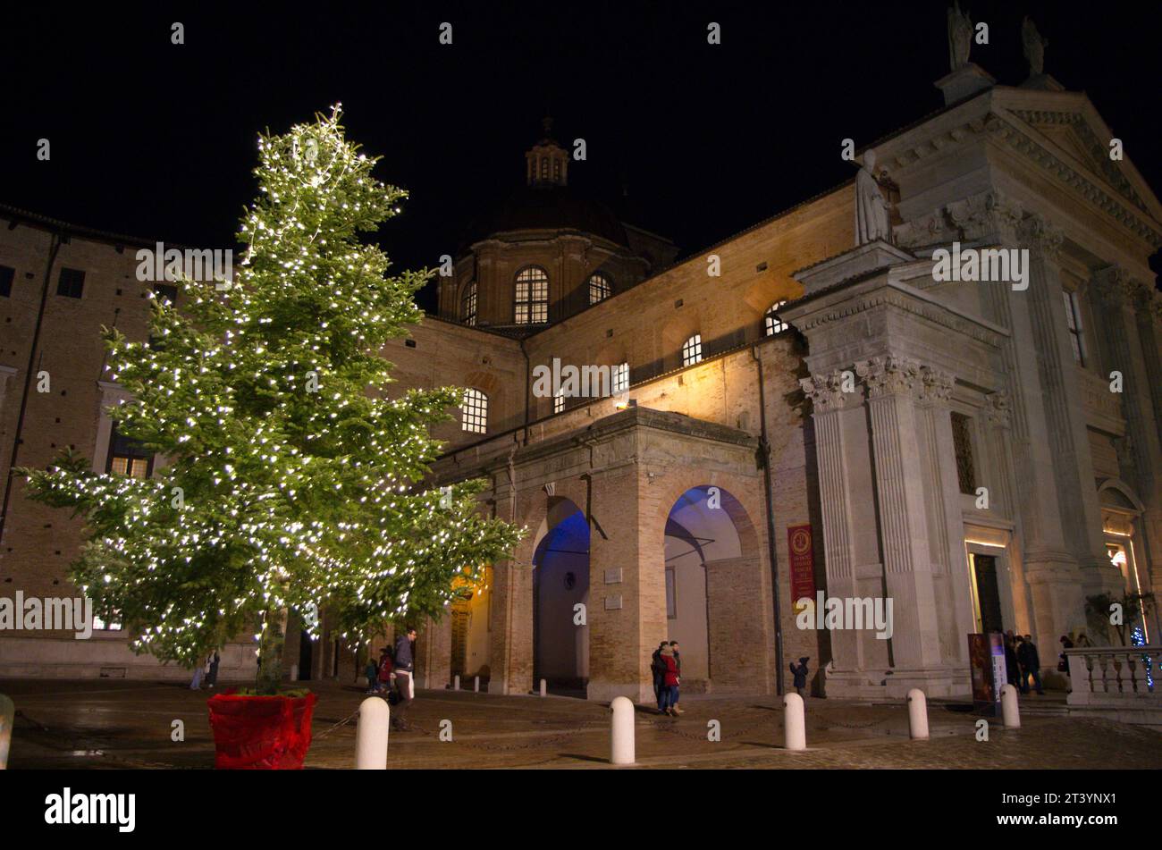 Albero di Natale illuminato accanto al duomo di Urbino Stock Photo