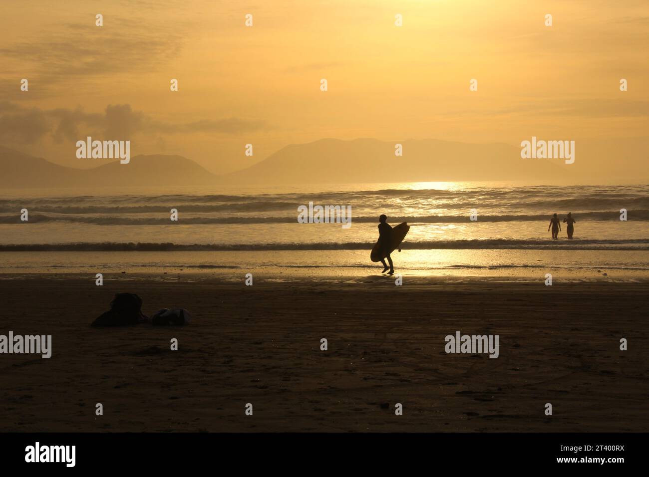 Silhouette of a person surfing at Inch beach at sunset with swimmers in the water - Dingle Peninsula, Kerry, Ireland. Concept for cold water swimming Stock Photo