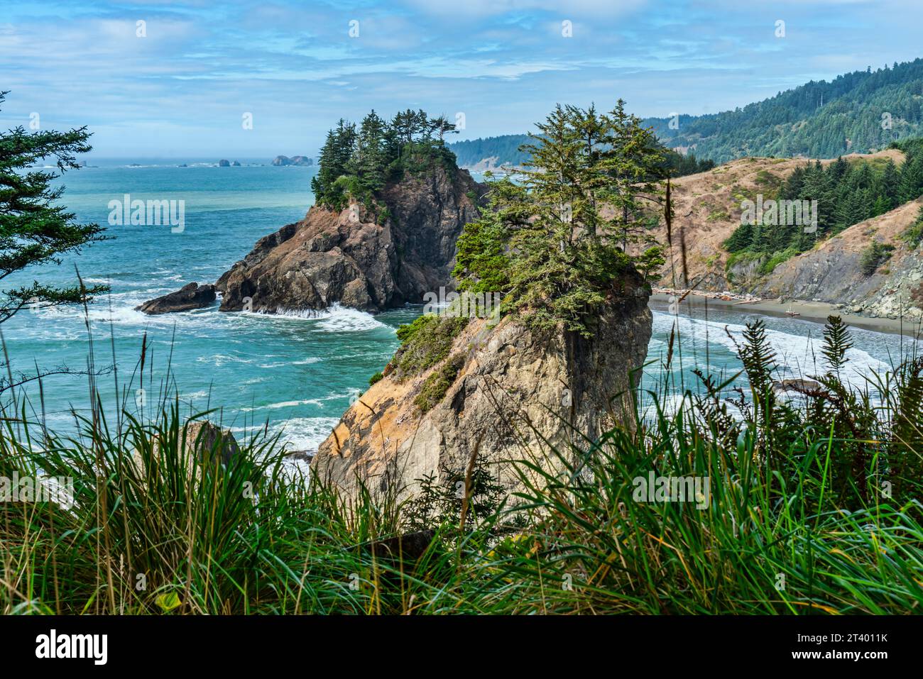 A view of the scenic shoreline near Arch Rock State Park in Oregon ...