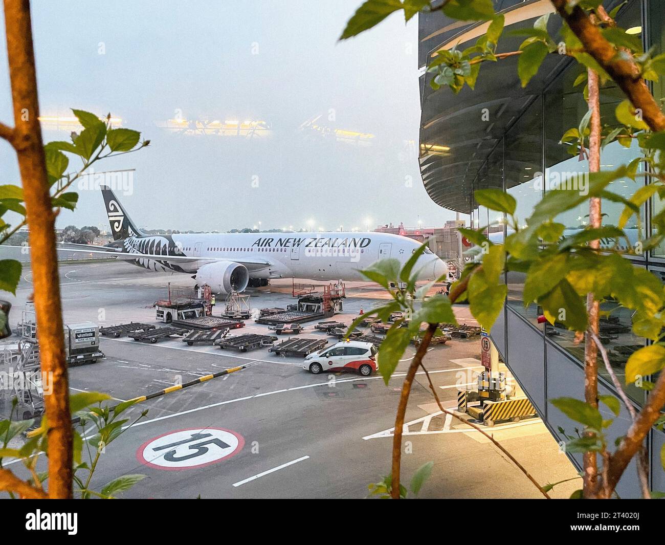 Singapore, Singapore airport, Air New Zealand plane Stock Photo