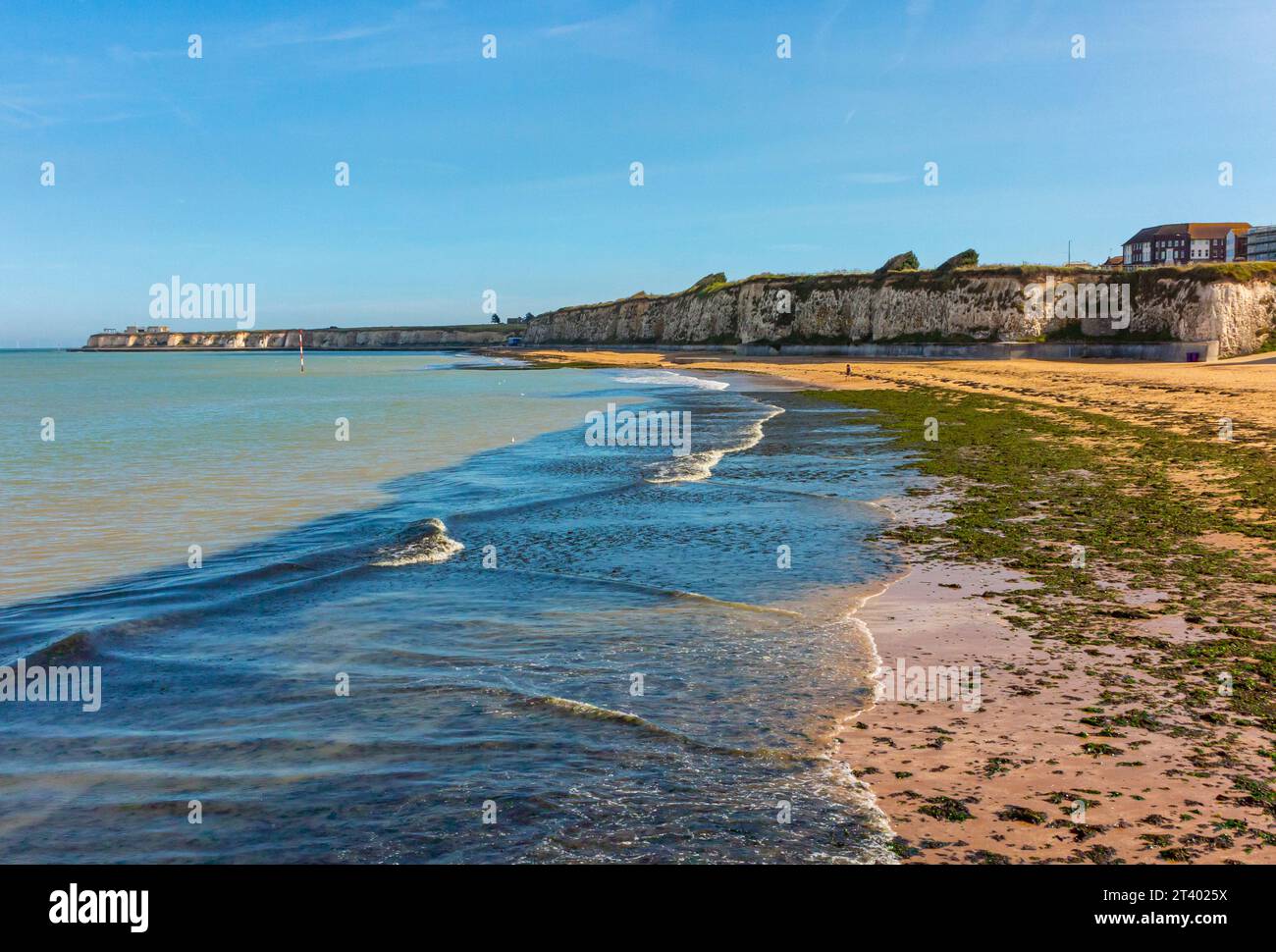 The beach and chalk cliffs at Palm Bay near Cliftonville Margate on the north coast of Thanet Kent England UK near the Thames Estuary. Stock Photo