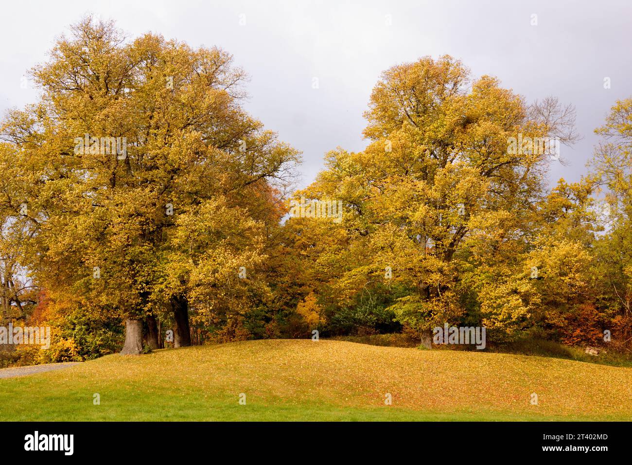Park in Stockholm area in autumn Stock Photo