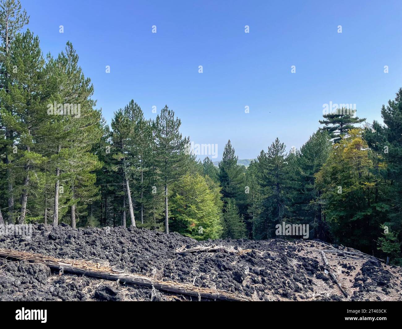 Italy, Sicily, Etna volcano Stock Photo - Alamy