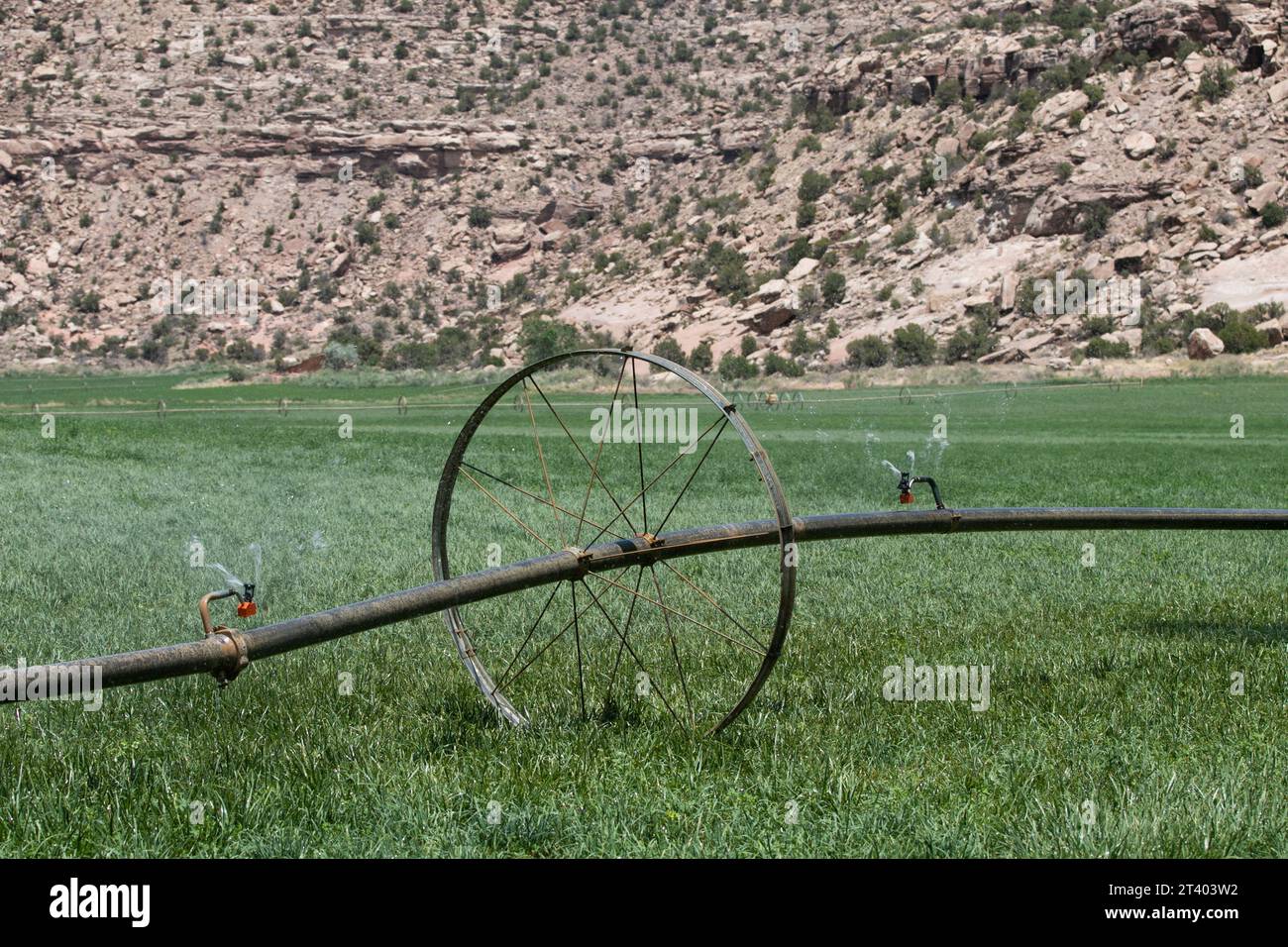 Old ancient wheel sprinkler for irrigation in green grass farmyard plantation in Colorado desert Stock Photo