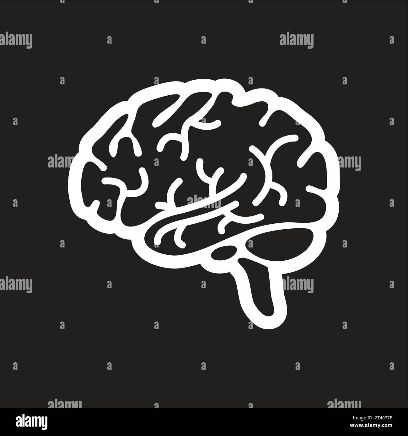 Cerebellum and brain stem Black and White Stock Photos & Images - Alamy