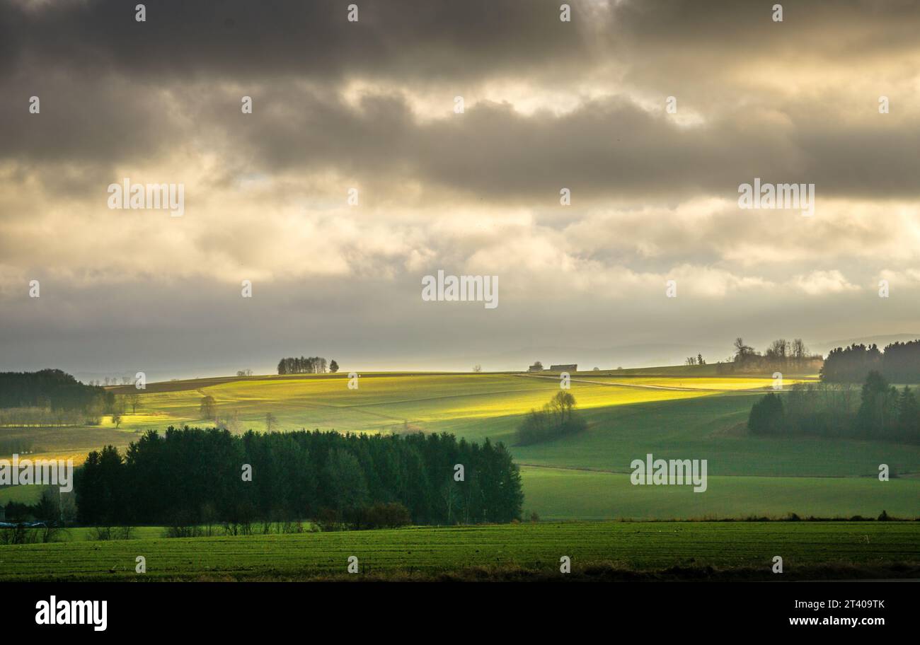 A scenic shot of a green field with a cloudy sky in the background ...
