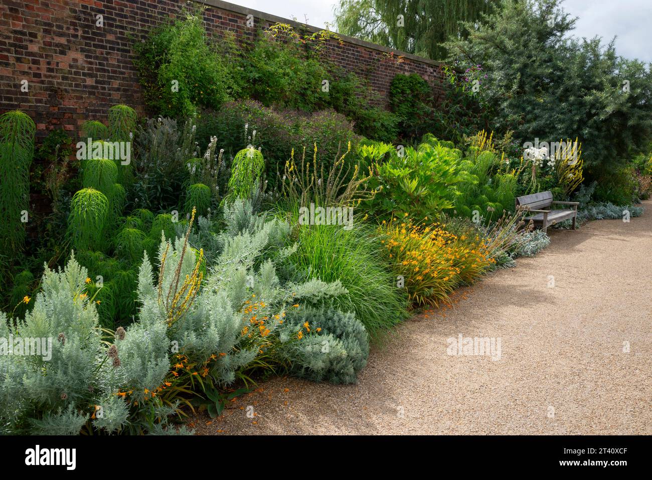 Mixed border in the walled garden at RHS Bridgewater, Worsley, Manchester, England. Stock Photo