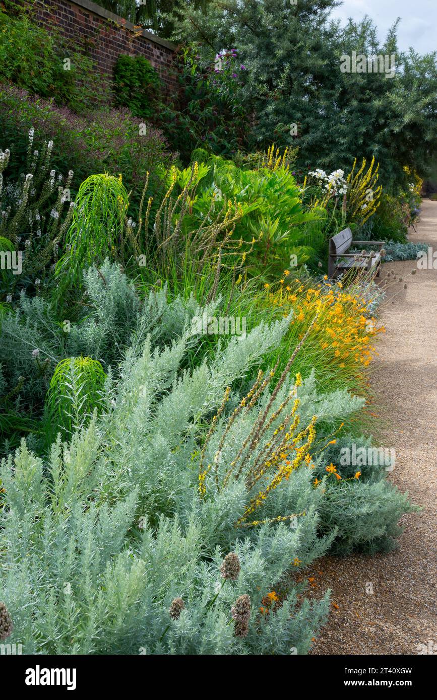 Mixed border in the walled garden at RHS Bridgewater, Worsley, Manchester, England. Stock Photo