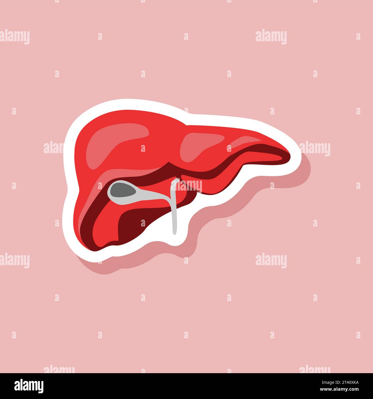 Liver paper sticker on stylish background Vector Image Stock Vector ...