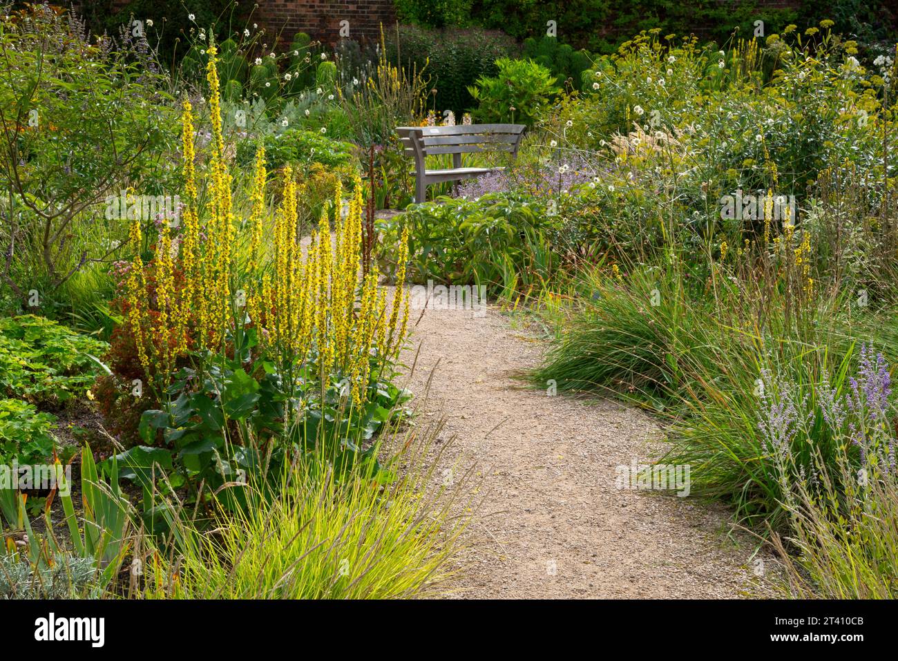Summer planting in the Paradise Garden at RHS Bridgewater, Worsley, Manchester, England. Stock Photo