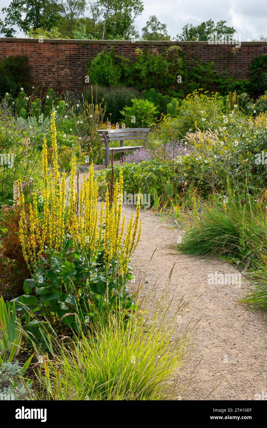 Summer planting in the Paradise Garden at RHS Bridgewater, Worsley, Manchester, England. Stock Photo