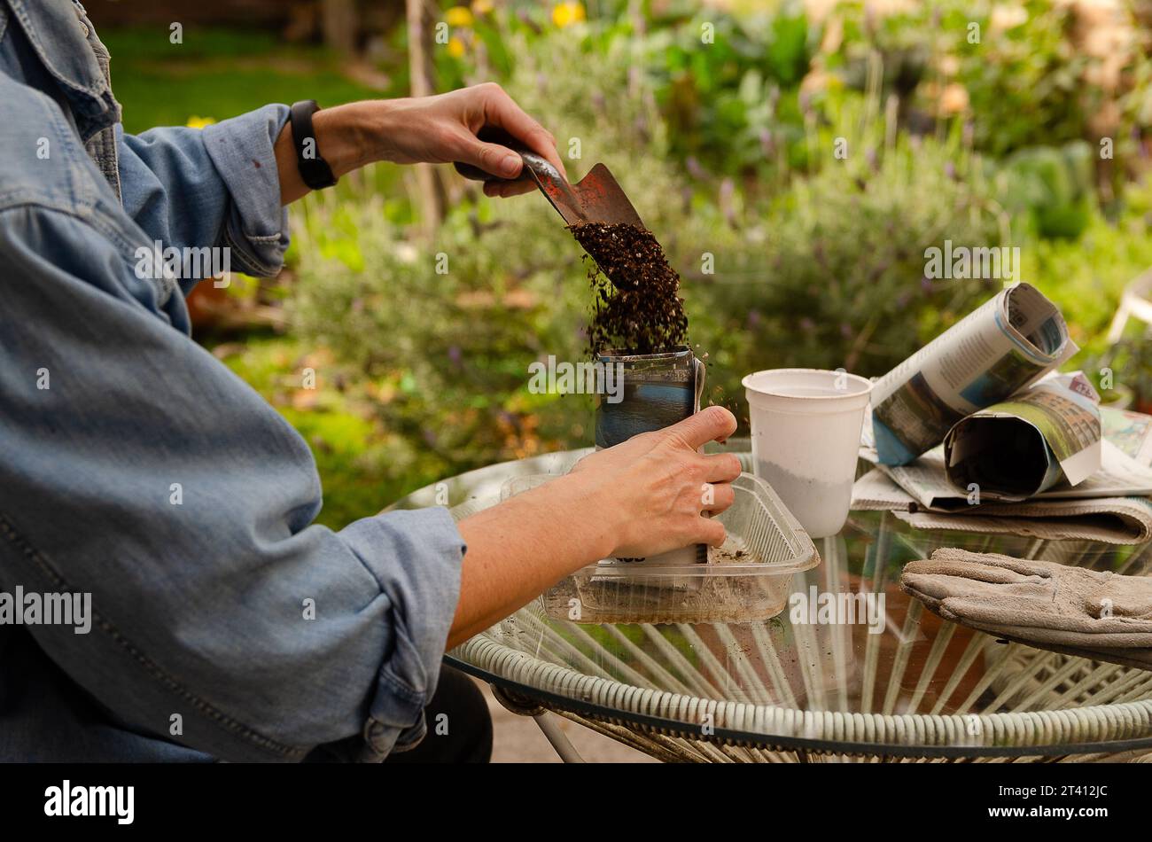 Gardening with recycled material. A woman filling pots made of newspaper sheets in the garden. Stock Photo