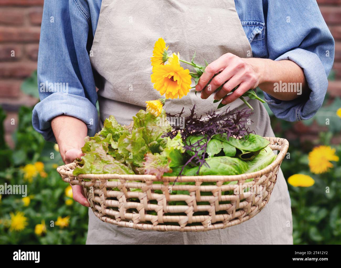 A woman holding a basket with fresh vegetables and flowers in an urban garden. Stock Photo