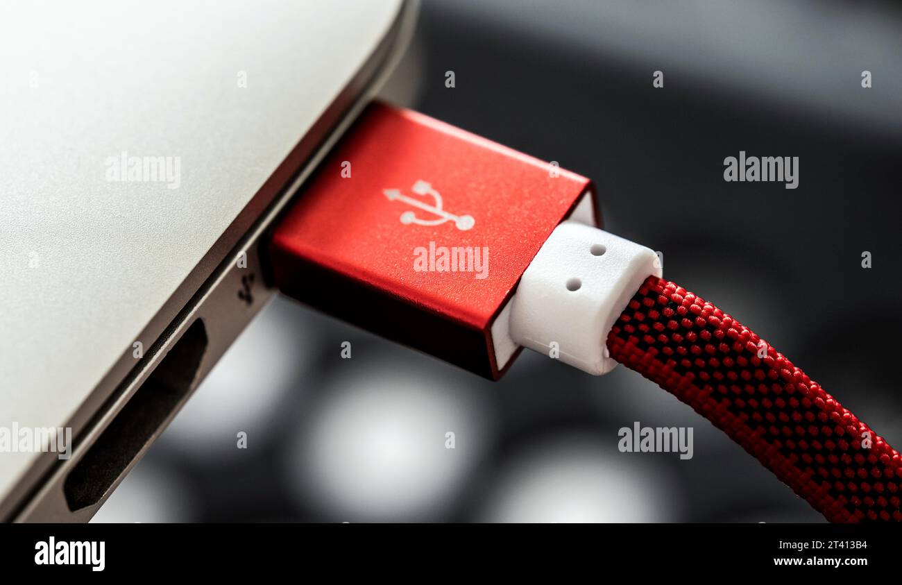 Red USB connected with laptop closeup. Plug micro cable for mobile devices in macro view Stock Photo
