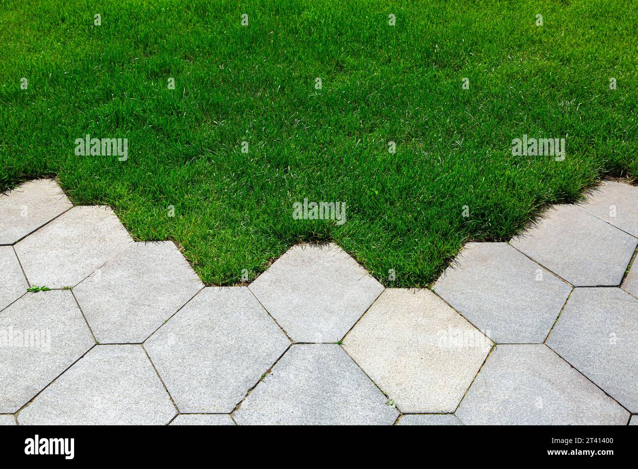 pavement with concrete tiles pattern and green lawn lit by