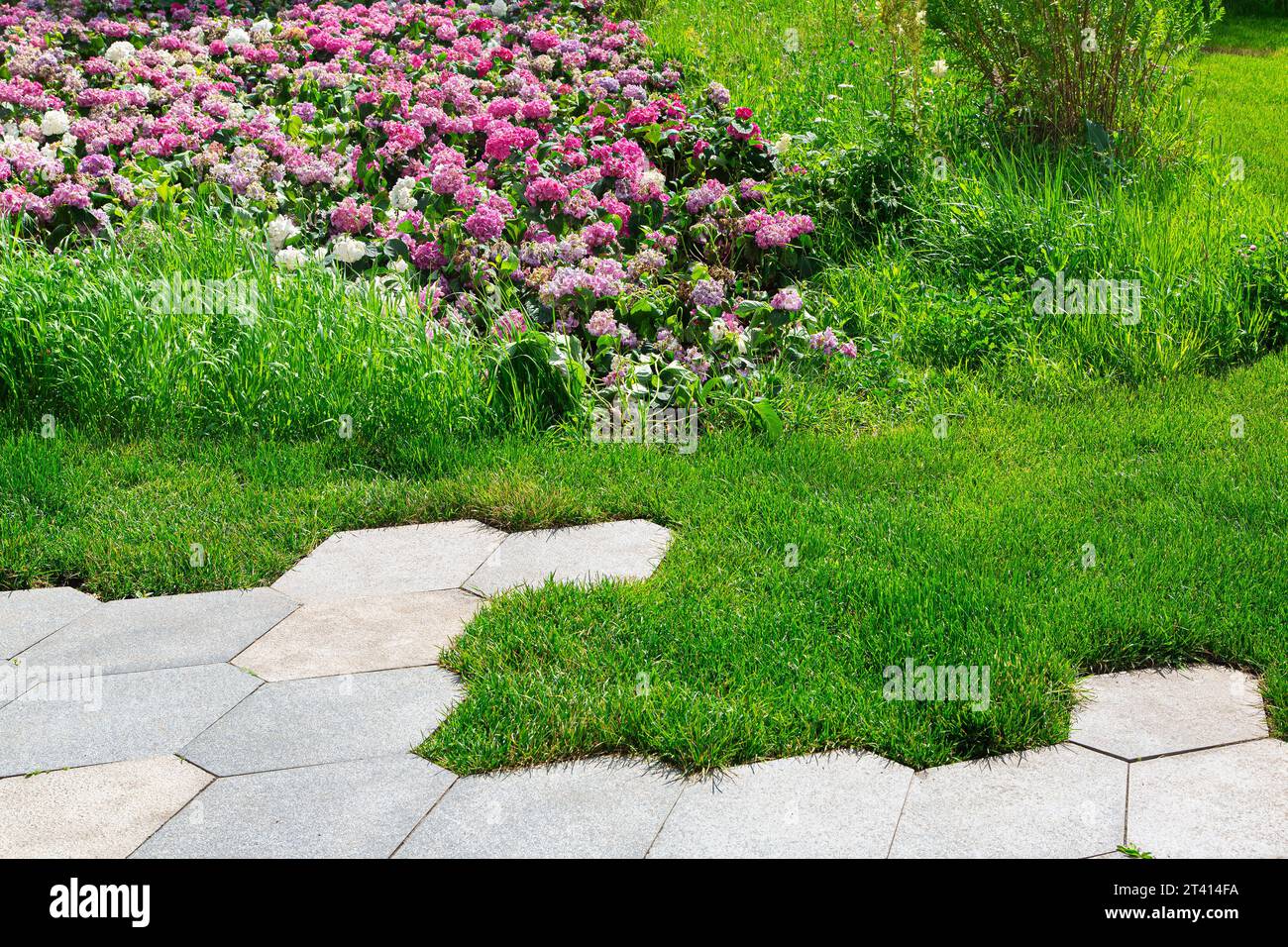 landscape design with flowers and green lawn and granite tile sidewalk, summer sunny park, nobody. Stock Photo