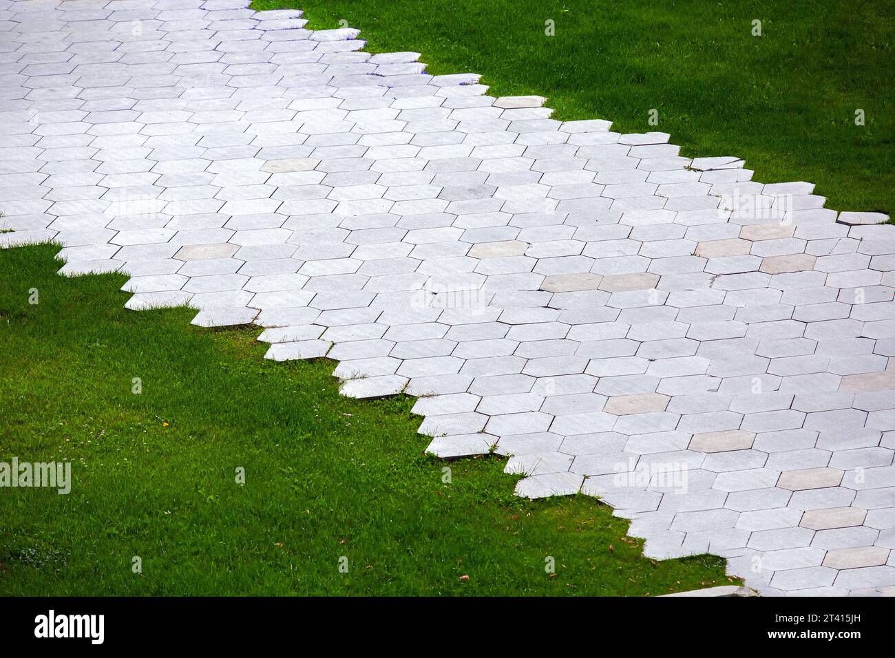 pavement with granite tiles honeycomb pattern and green lawn on summer park, nobody. Stock Photo