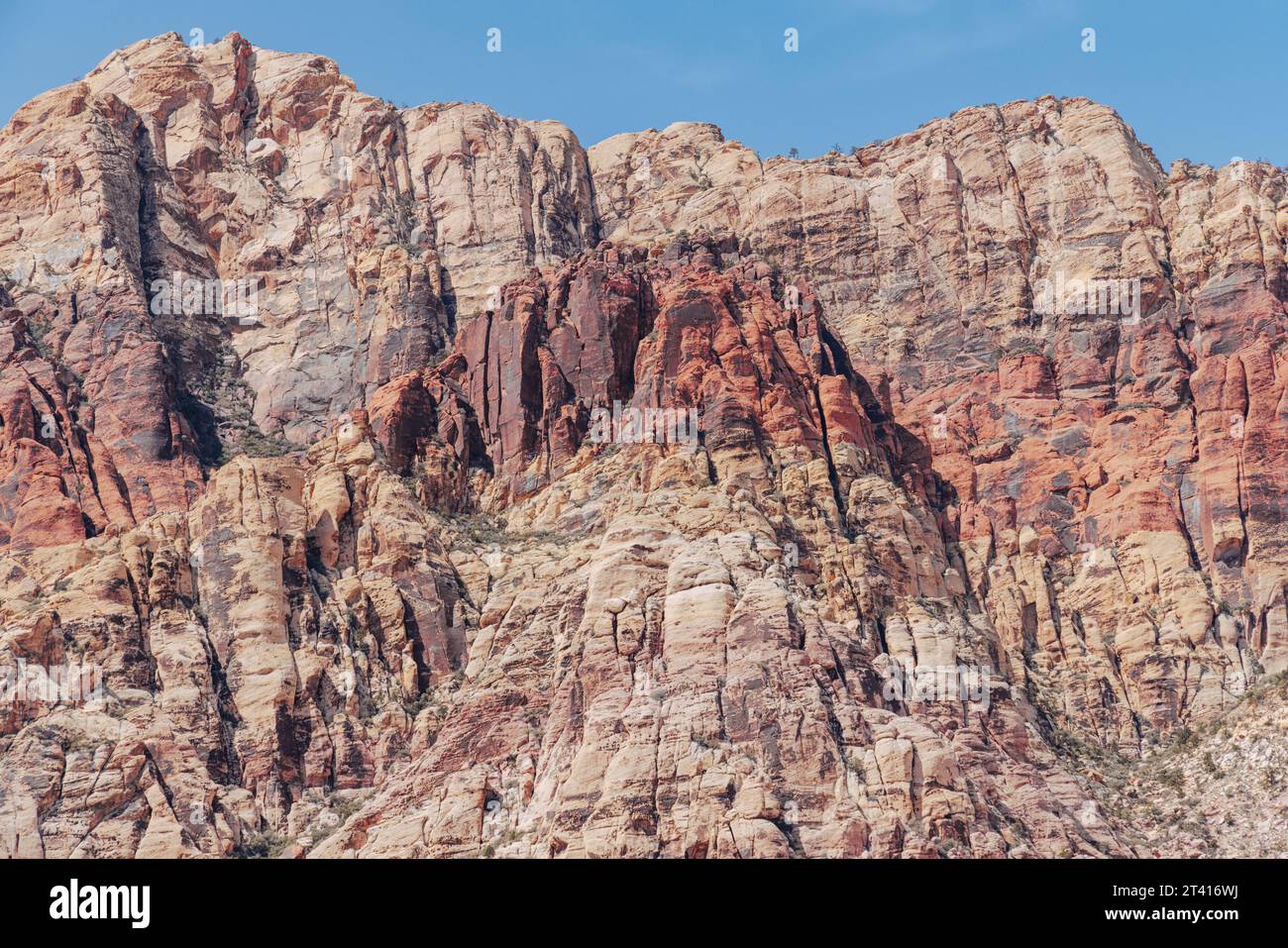 Red Rock Canyon National Conservation Area in Nevada, USA. Stock Photo