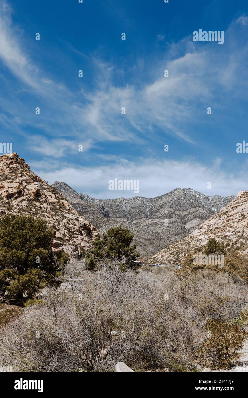 Trees in Red Rock Canyon National Conservation Area in Nevada, USA. Wispy clouds in the blue sky above the mountains. Stock Photo